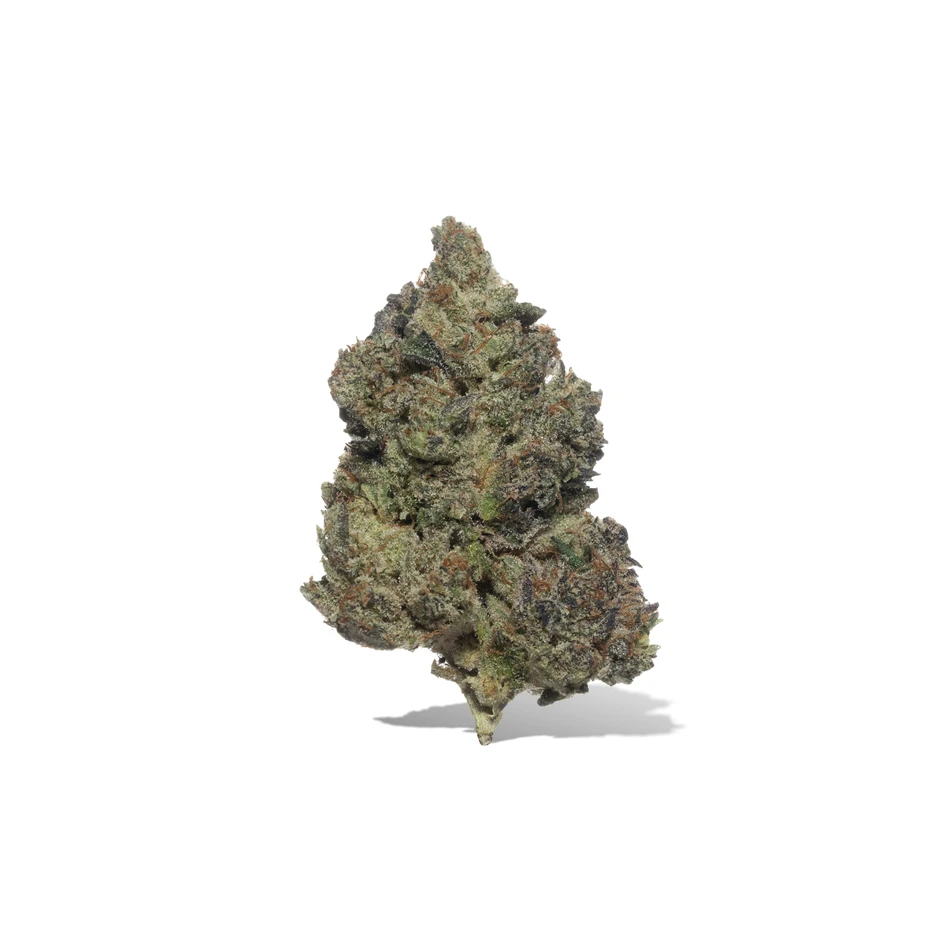 Premium Indoor Flower