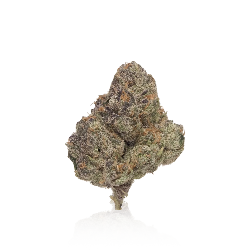 Exotic Flower